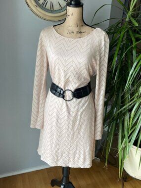 NWOT Silver and Beige Long Sleeve DressSize XLBrand, AUW